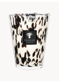 Baobab COLLECTION Scented Candle Black Pearls (Grapefruit, Ginger & Rose) Black Glass Ø 19 x H 24 cm