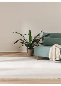 benuta Basic Faux Fur Rug Furry Cream 60x120 cm - Stylish Faux Fur Rugs