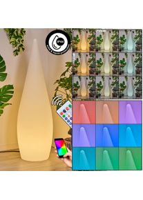 hofstein Dalon Lampadaire d\'ext&eacute;rieur, Lampadaire LED Blanc, 1 lumi&egrave;re, T&eacute;l&eacute;commandes