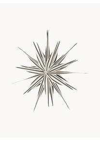 Oyoy Living Design Estrela decorativa Toppu Preto Ø 40 cm