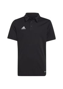 Adidas, Jungen, Sportshirt, Entrada 22 Polo Kinder (176), Mehrfarbig, 176