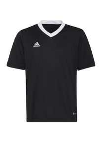 Adidas, Mädchen, Sportshirt, Entrada 22 Jsy Jr T-Shirt (176), Weiss, Blau, 176
