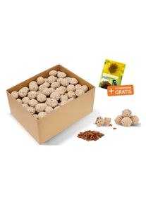 Tchibo - Frucht-Meisenknödel - beige