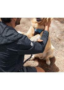 Tchibo - XL-Hunde-Geschirr - hellblau