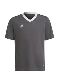 adidas, Jungen, Sportshirt, Entrada 22 Trikot (140), Grau, 140