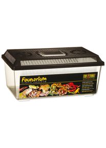 Hagen EXO TERRA faunarium nízké 36x21x16 cm, 12 l