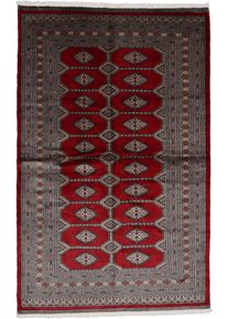 Teppich Orientalsk tæppe 250 x 160 (Pakistan) Håndknyttet