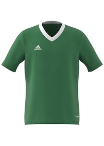 adidas, Jungen, Sportshirt, Entrada 22 Trikot (140), Grün, 140