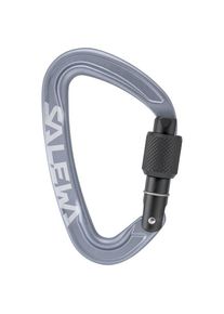 Salewa Ortles Screw Carabiner Screwgate carabiner grey