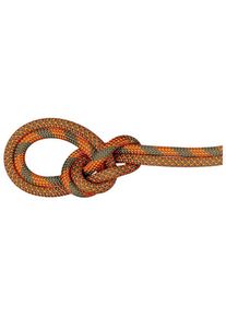 Mammut 9.5 Crag Dry Rope Duodess Enkelrep Storlek 60 m Färg brun