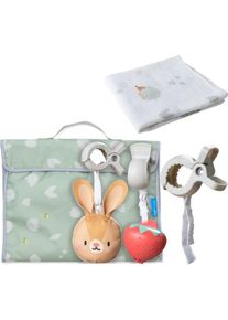 Taf Toys Outdoors Kit gift set for children from birth 1 pc