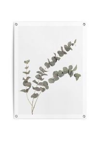 Reinders! Poster Eucalyptus Outdoor voor tuin of balkon deurposters groen