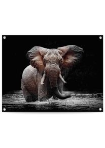 Reinders! Poster Olifant Outdoor voor tuin of balkon dieren bruin