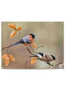 Reinders! Poster Gimpel Outdoor voor tuin of balkon deurposters oranje