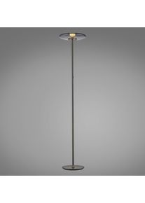 Paul Neuhaus PURE Vitrum Stehleuchte LED Grau, 2-flammig