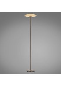 Paul Neuhaus PURE Vitrum Stehleuchte LED Braun, 2-flammig