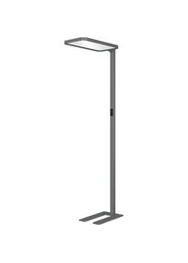 Hansa Staande LED-lamp Saffier Plus, dimbaar, antraciet