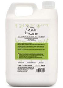 Groom Professional Luxe Cleanse Grapefruit & Orange Shampoo, 4L
