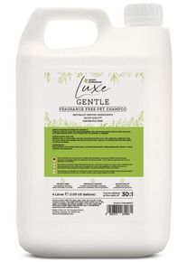 Groom Professional Luxe Gentle Fragrance Free Shampoo, 4L