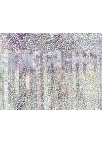 partydeco Rideau clinquant holographique 4m x 18,5cm