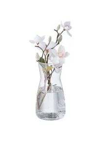 Relaxdays Blumenvase , Transparent , Glas , Rund , 20 cm , Dekoration, Vasen, Glasvasen
