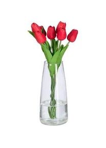 Relaxdays Blumenvase , Transparent , Glas , 21.5 cm , Dekoration, Vasen, Glasvasen