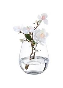 Relaxdays Blumenvase , Transparent , Glas , Rund , 16 cm , Dekoration, Vasen, Glasvasen