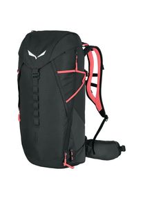 Salewa Montain Trainer 2 28 Walking backpack black