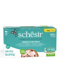 6x50g Thon avec dorade Schesir Complete Nutrition en gel&eacute;e Nourriture humide pour chat