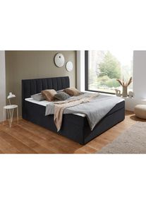 ATLANTIC HOME COLLECTION , Boxbett »Alva, wahlweise mit Matratze« wahlweise mit Matratze und Topper , schwarz