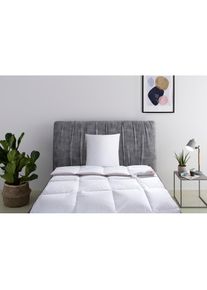 Ribeco, Daunenbettdecke + Kopfkissen &raquo;Richard, Bettwaren-Set in 135x200 oder 155x220 cm, Sommer oder Winter&laquo; Seit 105 Jahren &uuml;berzeugt durch Qualit&auml;t,