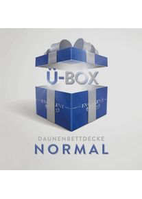 EXCELLENT, Daunenbettdecke &raquo;&Uuml;berraschungsbox&laquo; normal F&uuml;llung 90Daunen10Federn Bezug Baumwolle 1 Stk. tlg. absoluter Sonderpreis, wegen Lagerr&auml;umung, 