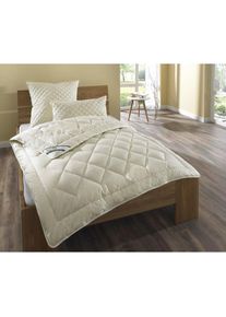 f.a.n. fan, Naturhaarbettdecke &raquo;Kamelhaar&laquo; normal F&uuml;llung 100Kamelhaar 1 Stk. tlg. &bdquo;Made in Germany&ldquo;, natur, Obermaterial: 100% Baumwolle, B/L: 130 cm x 190 