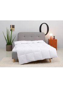 my home , Daunenbettdecke »Covino, Bettdecke 135x200 cm, 155x220 cm« leicht Füllung 60% Daunen & 40% Federn 1 Stk. tlg. Bettdecke Sommer, Winter,...