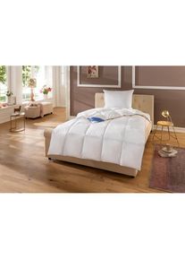 Hanse by RIBECO, Daunenbettdecke &raquo;Lina&laquo; leicht F&uuml;llung 90% Daunen & 10% Federn 1 Stk. tlg. Hochwertiges Naturprodukt!, wei&szlig;, F&uuml;llung: 90% Daunen, 10% 