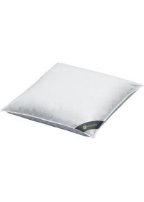 Spessarttraum, Federkissen &raquo;Wildente&laquo; 1 Stk. tlg. Kopfkissen 40x80cm & weitere Gr&ouml;&szlig;en, silberfarben, Bezug: 100% Baumwolle. F&uuml;llung: 70% Federn, 30% 