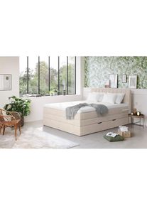 COTTA , Boxspringbett &raquo;Shark inkl. Bettkasten und Topper&laquo; erh&auml;ltlich in den Breiten 140x200cm, 160x200cm und 180x200cm , natural