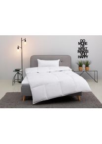 my home, Daunenbettdecke + Kopfkissen &raquo;Cavanelle Bettdecke 135x200 cm, 155x220 cm&laquo; Set mit Kissen 40x80 oder 80x80 cm, Sommer, Winter, Made in Germany