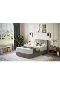 Inosign, Boxbett &raquo;Thor mit Bettkasten, inkl. Matratze, Topseller&laquo; Topper und Zierkissen, in verschiedenen H&auml;rtegraden verf&uuml;gbar, Velvet 17 elephant, 