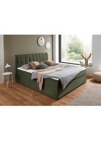 ATLANTIC HOME COLLECTION , Boxbett »Alva, wahlweise mit Matratze« wahlweise mit Matratze und Topper , grün
