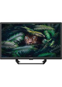 Strong, LED-Fernseher &raquo;SRT 24HE4023C&laquo; 60 cm/24 &prime;&prime; HD ready Video-Streaming: Netflix, Youtube, Amazon Prime Video, Disney+, schwarz, Timer direkt via 