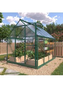 Konifera, Gew&auml;chshaus &raquo;Sunny&laquo;, gr&uuml;n, B/H/T: 182 cm x 208 cm x 241 cm, gr&uuml;n