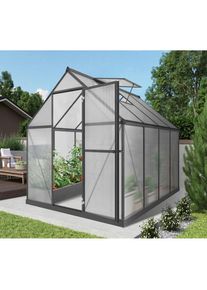 Konifera, Gew&auml;chshaus mit Fundamentrahmen, schwarz, 0, schwarz