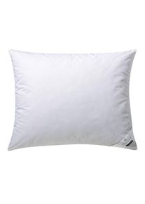 Billerbeck , Kopfkissen »Erina 30« 1 Stk. tlg. , Obermaterial: 100% Baumwolle , B/H/L: 70 cm x 90 cm