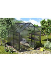 Vitavia, Gew&auml;chshaus &raquo;Apollo 6200&laquo;, schwarz, B/H/T: 195 cm x 323 cm, schwarz