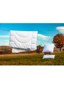 Dunlopillo , Microfaserbettdecke »Home Bettdecken Sommer und Winter« leicht Füllung Polyester Bezug Polyester 1 Stk. tlg. Bettdecke 135x200,...