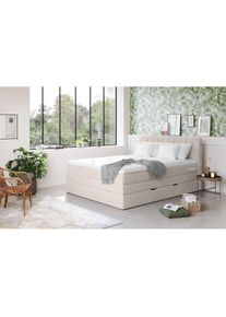 COTTA, Boxspringbett &raquo;Shark inkl. Bettkasten und Topper&laquo; erh&auml;ltlich in den Breiten 140x200cm, 160x200cm und 180x200cm, elephant, 100% POLYESTER (PES),