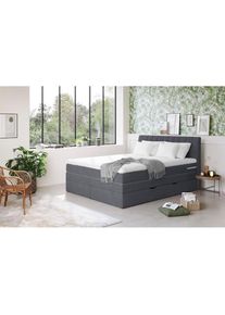 COTTA, Boxspringbett &raquo;Shark inkl. Bettkasten und Topper&laquo; erh&auml;ltlich in den Breiten 140x200cm, 160x200cm und 180x200cm, dark blue, 100% POLYESTER (PES)