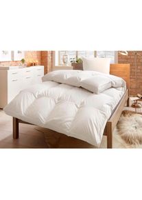 &Auml;lgdr&ouml;m &Auml;lgdr&ouml;m, Daunenbettdecke + 3-Kammer-Kopfkissen &raquo;Lasse, Bettdecke 135x200 cm, 155x220 cm, Made in Green&laquo; 2-tlg., Set mit Kissen 40X80 cm, 80x80 cm, 