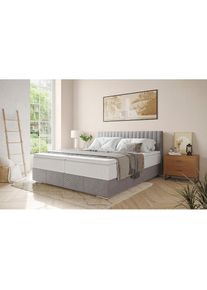 Inosign, Boxbett &raquo;Thor mit Bettkasten, inkl. Matratze, Topseller&laquo; Topper und Zierkissen, in verschiedenen H&auml;rtegraden verf&uuml;gbar, Stripes 8637 warm 